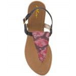Aleta ALWF0716 Women Flats